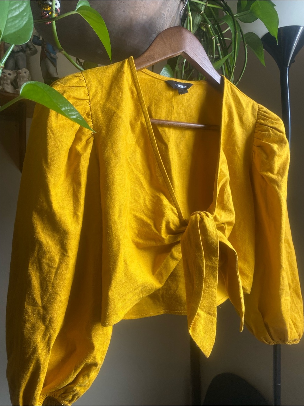 Express Mustard Tie-Front Puff Sleeve Crop Top Linen Blend Concert Festival Boho